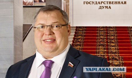 Житель Татарстана убил при помощи самодельного лука двух кабанов