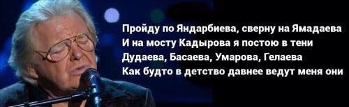 На мосту Ахмата Кадырова в Петербурге появился профиль Ахматовой