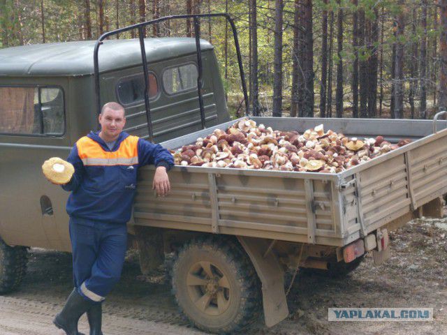 Хвастаюсь... Не могу удержаться