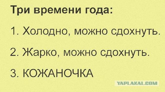 Нестандартный юмор