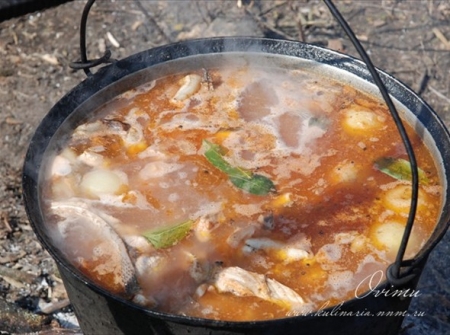 Дачная юшка на берегу Днепра