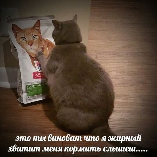 Приколы в стиле "регресс"