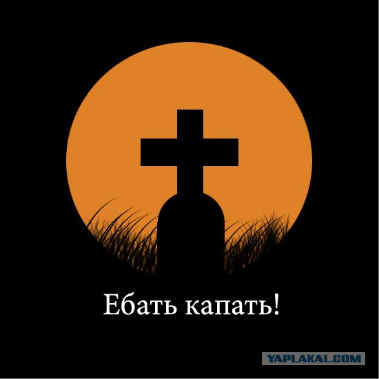 Присказки в картинках
