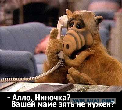 Прикольные картинки 28.11.2020