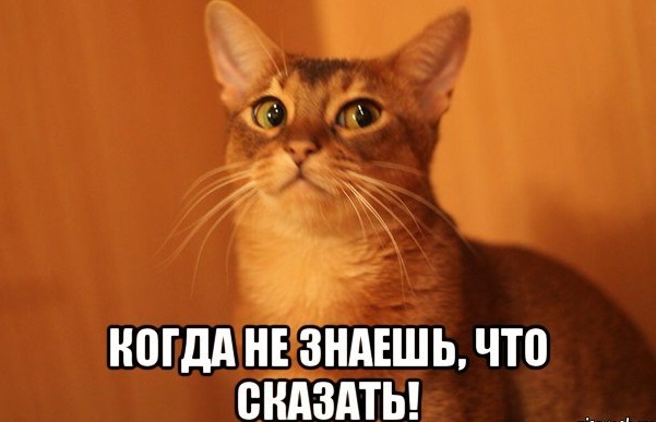 Без понтов