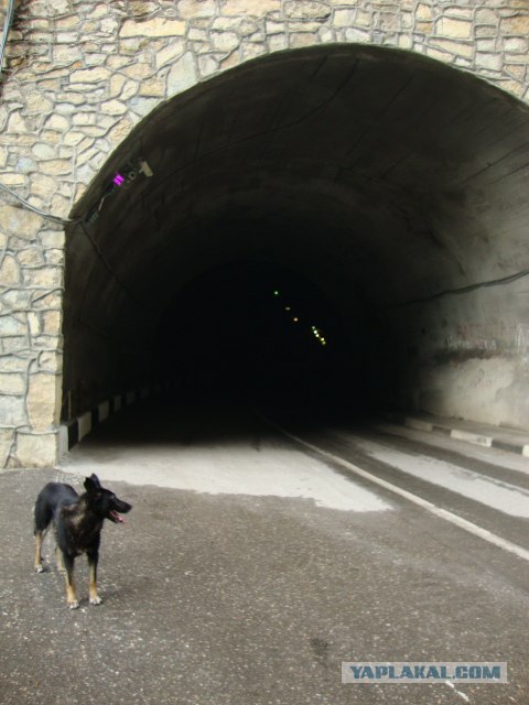 Кавказ-2012