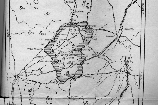 Зимой 1942 года партизаны сумели провезти в Ленинград более двухсот повозок с тоннами хлеба, пшеницы и мяса.