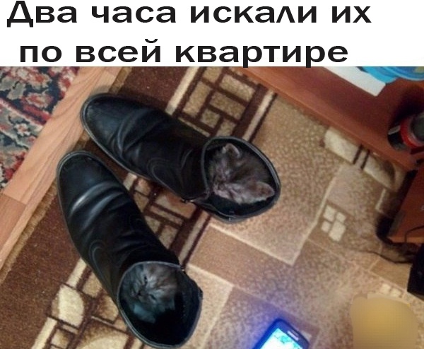 Так себе картинки 09.04.24