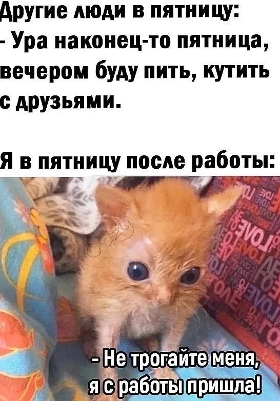 Немножко для пятницы. Солянка