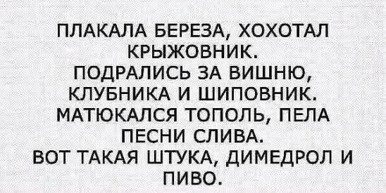 Так себе картинки 15.10.25