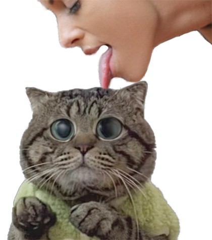Фотожаба: Грустный котик