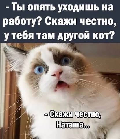 Найди себе уже мужика, Наташа!
