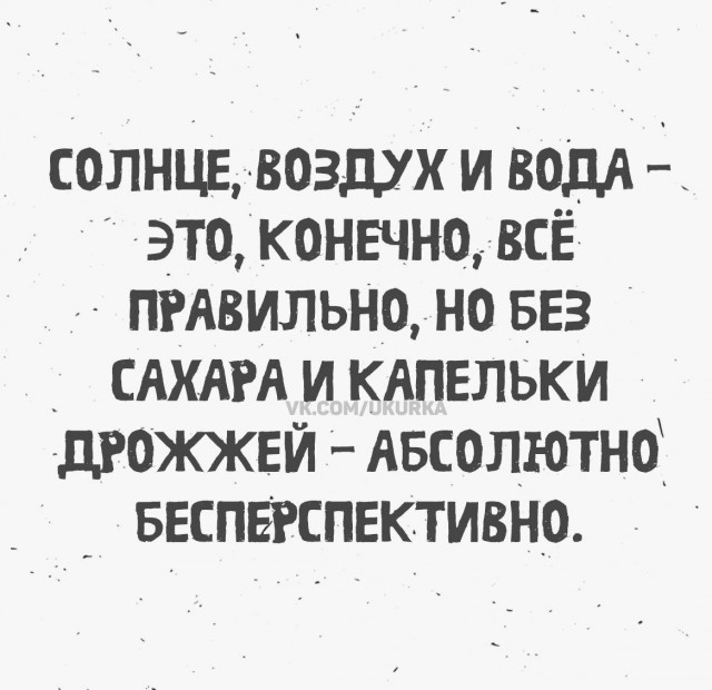 Картинки для деградации 254 (разной степени сежести)