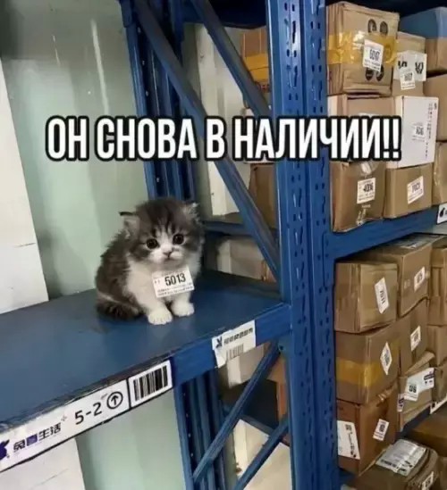 Картинки на 03.09. 2026
