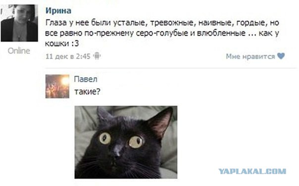 Глуповатый и одновременно смешной котенька)))
