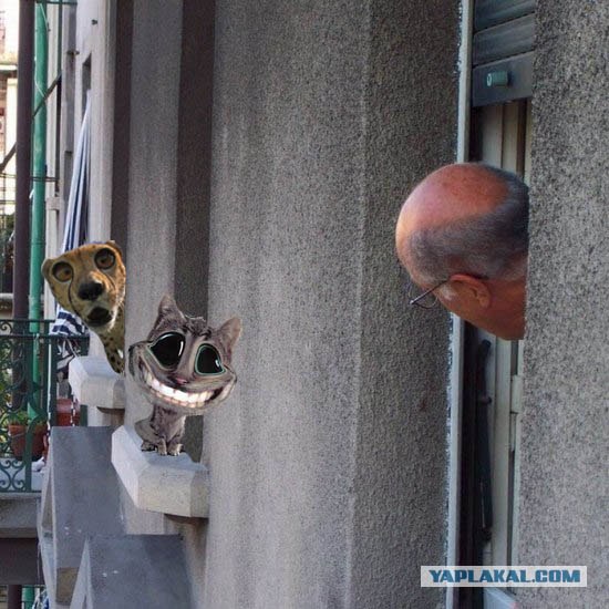 Что там такое?