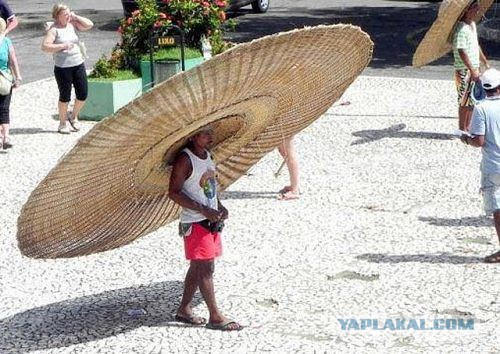 Смешные картинки и комментарии