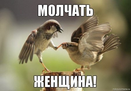 Картинки