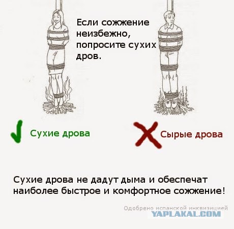 Всякая хренотень