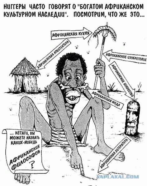 negri-na-plantatsiyah-yutub-erotika