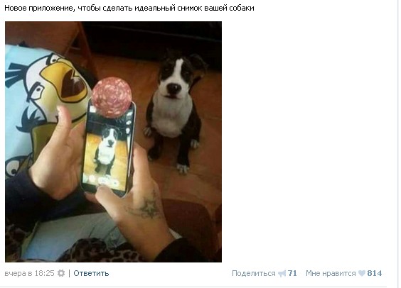 Ужасы и приколы из соцсетей 18+