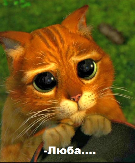 Помогите вернуть Любу! 2-я серия