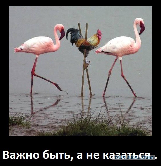 Дерзость в боксе