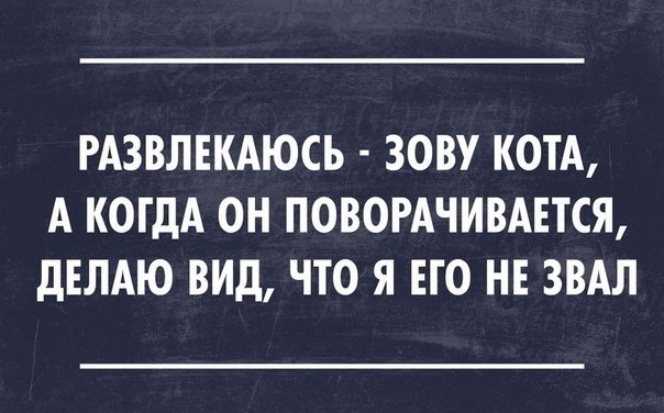 36 жизненных открыток для отличного настроения