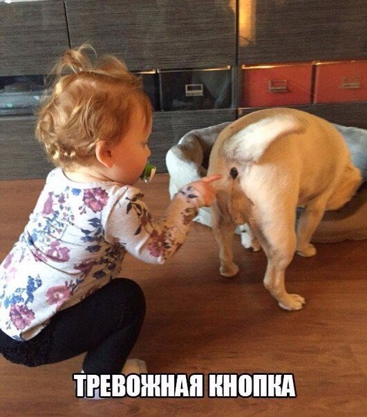 Журнал деградант