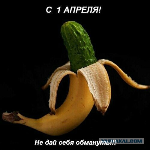 Итоги проверки пользователей