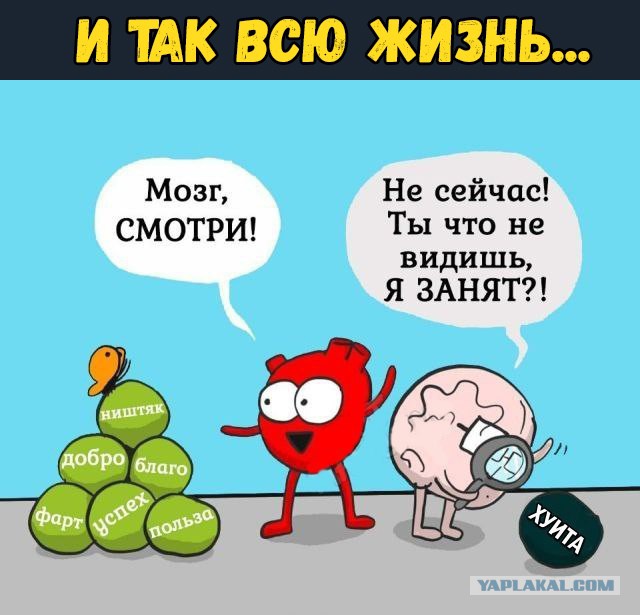 Саратовская синагога признала недействительными 150 обрядов обрезания