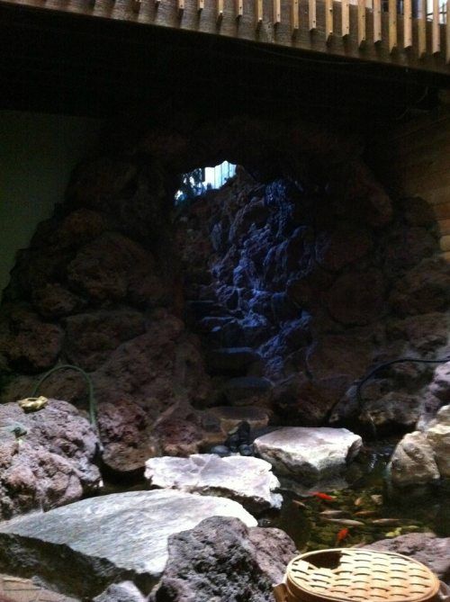 Тихий пруд... внутри дома!