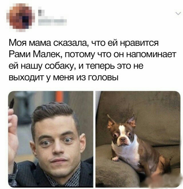 Куда катится жизнь