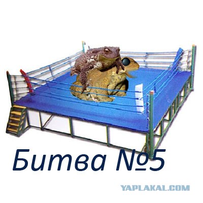 Битва Фотожаберов №5