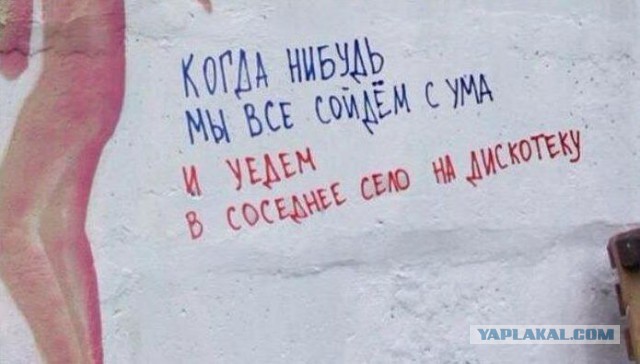 Асфальт, стены, заборы... Так пить или жить?