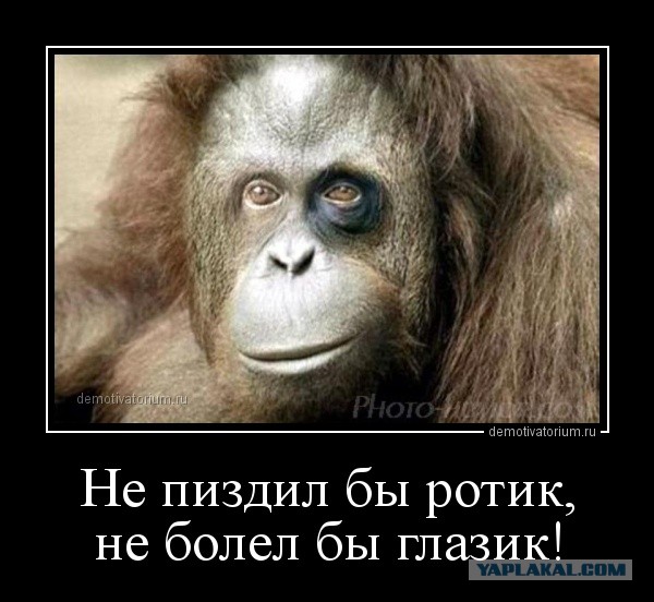 Горячие девушки из Днепра