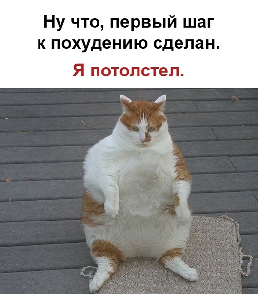 Бредзона 23.02.20
