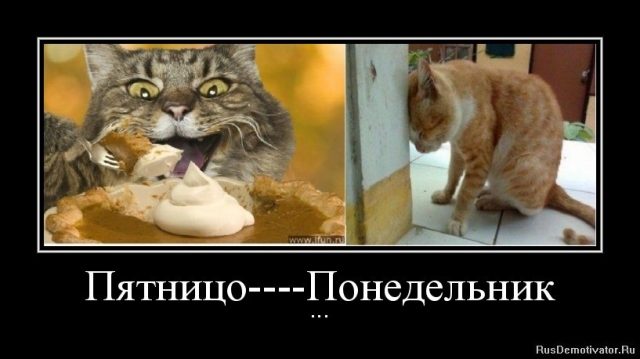 Алкоты, пост!