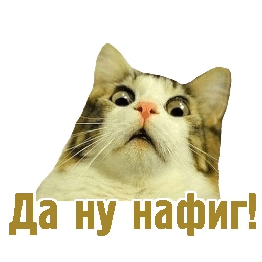Свой среди чужих