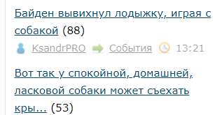 Вот так у спокойной, домашней, ласковой собаки может съехать крыша