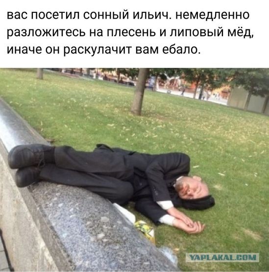 Дурацкие картинки