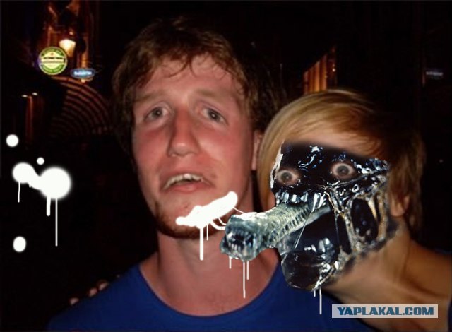 Вытянулась: картинка и 2 жабы