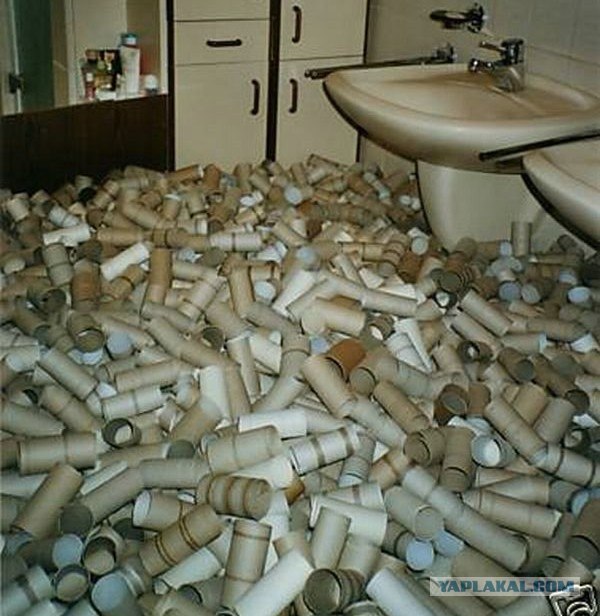 Что можно сделать с остатками туалетной бумаги?