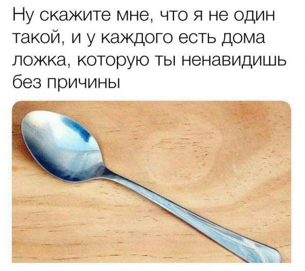 Мадам и месье, ещё раз бонжур