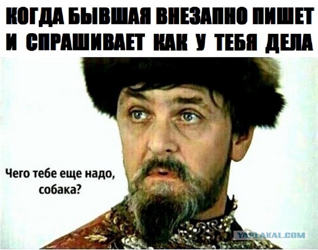 Весёлый полтишок 29.03