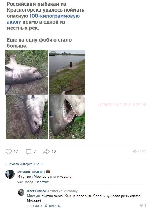 Комментарии к постам в разных группах, которые вызвали улыбку