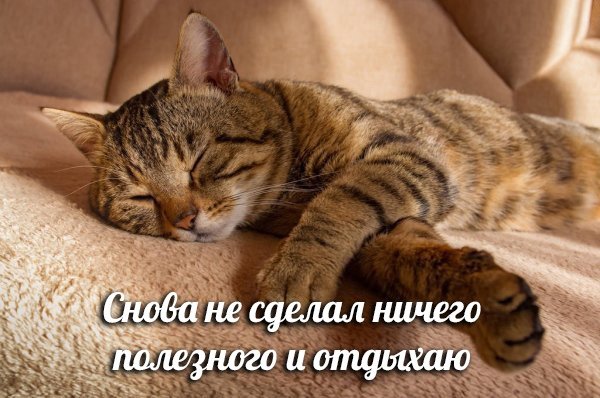 Прикольные и просто красивые картинки 03.06.2021