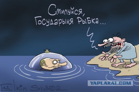 Вову грузит...