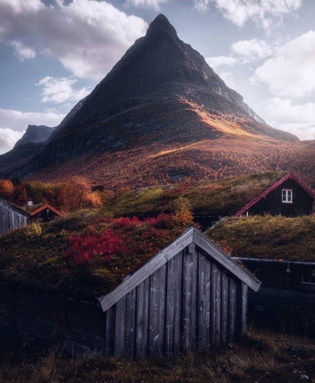 Картинки и мемы для настроения 05.08.2021