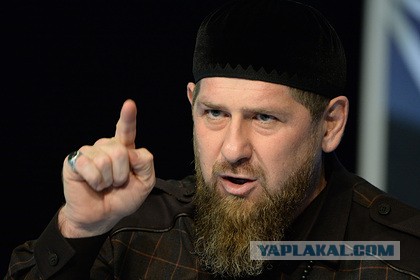 «Талибан»* установил новые правила жизни в Афганистане: смертная казнь за наркотики, высокие зарплаты врачам и отмена долгов
